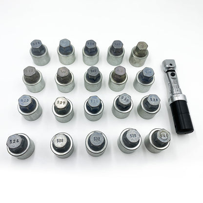 VW/Audi T10313 Anti-Theft Bolt Socket